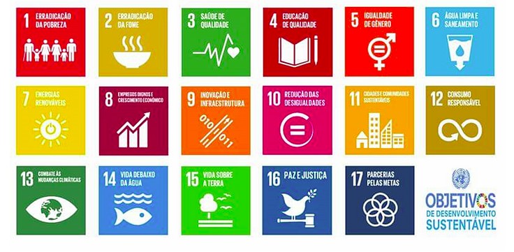 Por Que e Como Vincular Nossas Ações aos Objetivos do Desenvolvimento Sustentável (ODS) – Claudia Pfeiffer